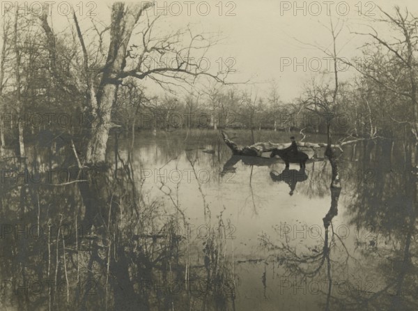 Hunting reserve in the Marsiliana estate. ca. 1900