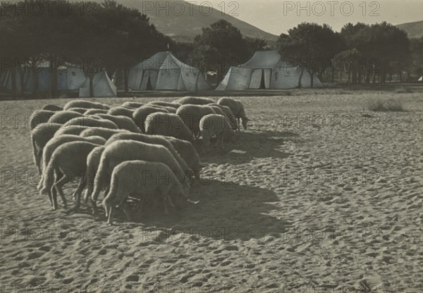Touring Club Italiano Campsite in Marina di Campo: Tents. 1947