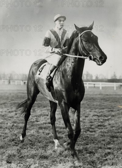 The champion gallop horse Nearco