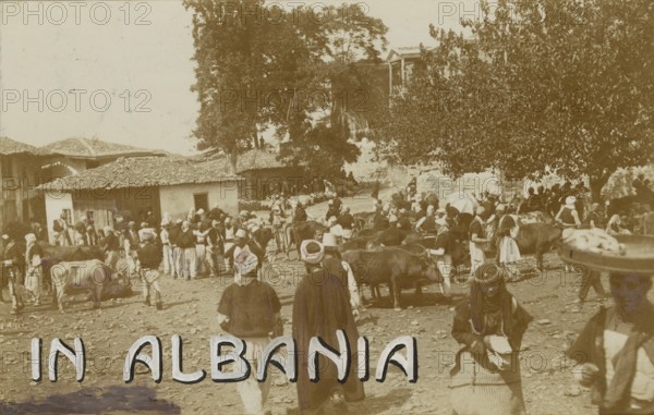 In Albania: market in Elbasan.