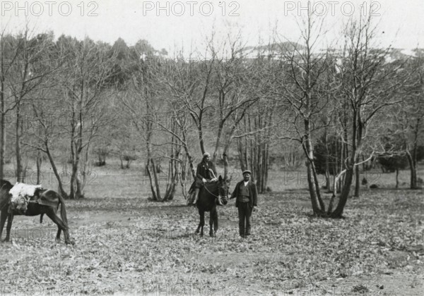 On the back of a mule.