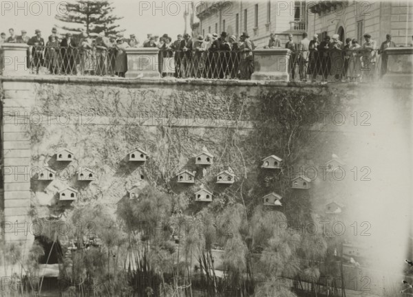 At the Fountain of Arethusa in Ortigia.  Syracuse. 
	
		1924