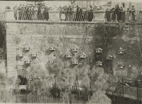 At the Fountain of Arethusa in Ortigia.  Syracuse. 
	
		1924