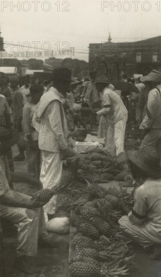 Pineapple vendors in Venezuela. ca. 1930