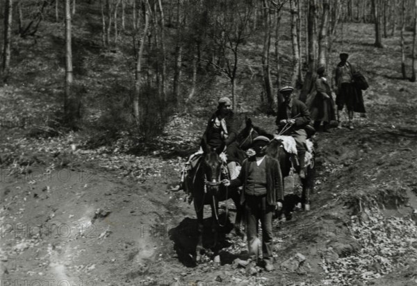 Climbing Etna. 
	
		1924