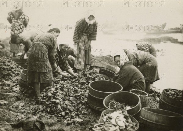 Pearl oyster fishing in Ago Bay, Japan. 
	
		1940-1960