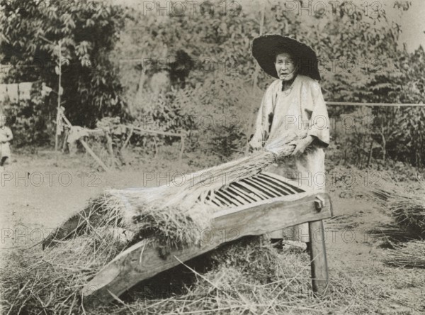 Rice processing in China.  1900