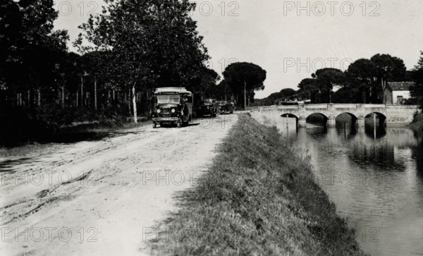 The Ravenna Pine Forest towards Sant'Apollinare in Classe. 
	
		1931
