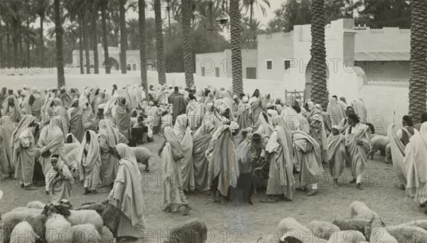 Libyan shepherds with their flocks. 1931
