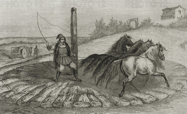 Sardinia. Threshing wheat. Engraving by Chaillot. Lemaitre direxit. History of Malta and Gozo, by Frederic Lacroix. Panorama Universal, Spanish edition, printed in Barcelona, 1850.