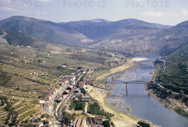 Port wine production in Portugal c 1960  Douro river valley landscape vines growing on hillside terraces around the village of Pinho.