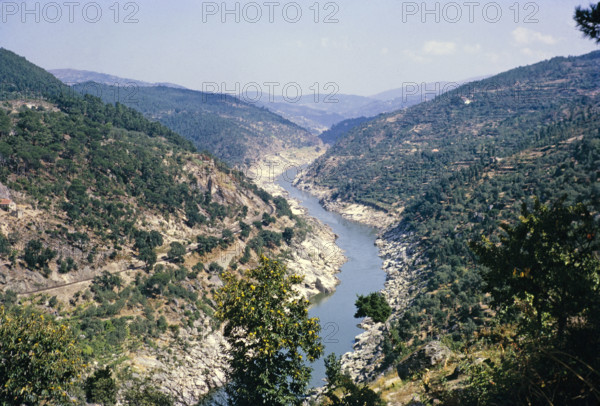Landscape of the Douro river valley with wooded hillsides, Portugal c 1960.