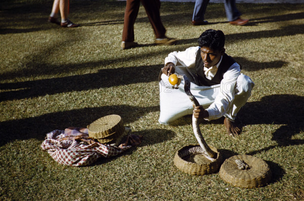 Snake charmer Sri Lanka, Asia 1956.