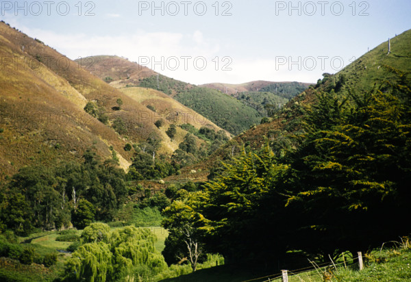 Interlocking spurs steep V shaped river valley landscape of Wild Dog Creek, near Apollo Bay Victoria, Australia in 1956.