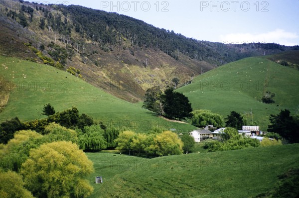 Interlocking spurs steep V shaped river valley landscape of Wild Dog Creek, near Apollo Bay Victoria, Australia in 1956.