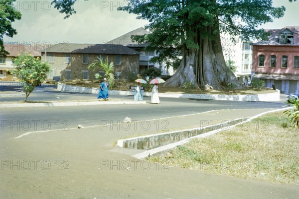 Cotton Tree roundabout, famous kapok tree, Ceiba Pentandra,  city centre of Freetown, Sierra Leone, west Africa 1963.