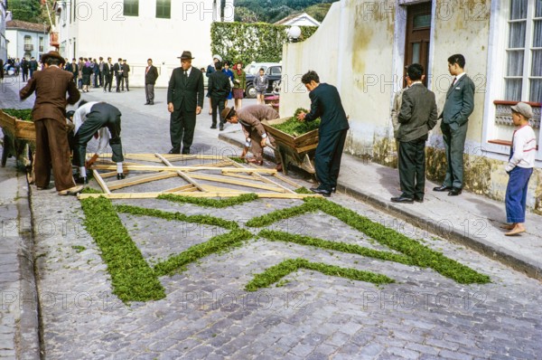 Laying out plants and flowers street religious procession, Procissao de Senhor der Infernos, Furnas, Sao Miguel Island, Azores, Portugal, April 1964.