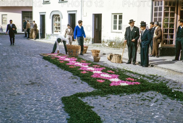 Laying out plants and flowers street religious procession, Procissao de Senhor der Infernos, Furnas, Sao Miguel Island, Azores, Portugal, April 1964.