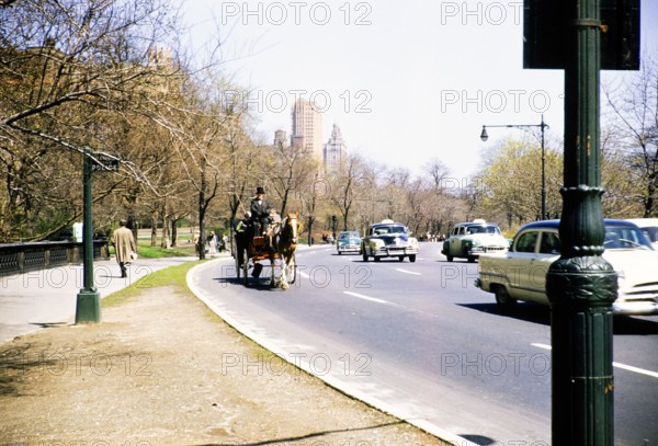 Horse and carriage ride on road with traffic, West Drive, Central Park, New York, USA c 1953.
