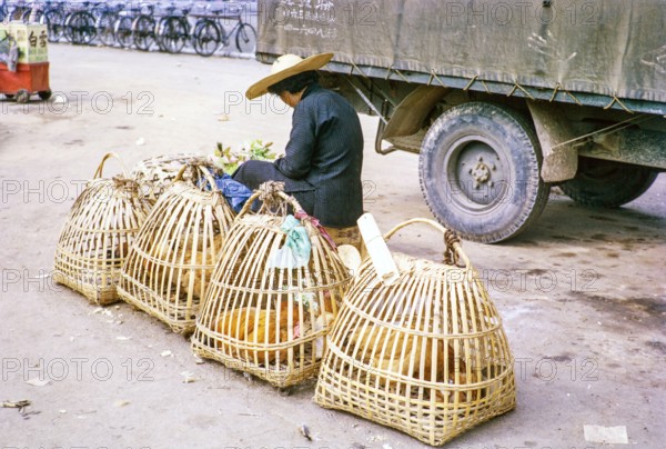 Woman selling chickens in baskets at street market, Tai Po, New Territories, Hong Kong, Asia, 1964.
