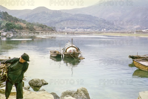 People living on sampan boats at  Tai Po Hoi, New Territories, Hong Kong, Asia, 1964 woman carrying wood.