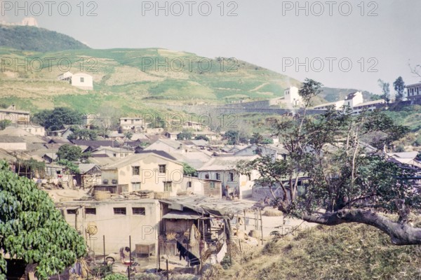 Captioned as 'Dairy farm country and farms', Pok Fu Lam, Hong Kong, Asia 1964.