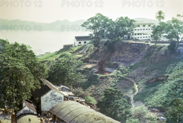 Captioned as 'Dairy farm', Pok Fu Lam, Hong Kong, Asia 1964.