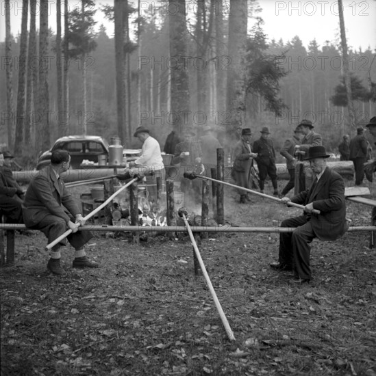 Christmas hunting in Brittnau 1952: Hunters have a barbecue in the Forest