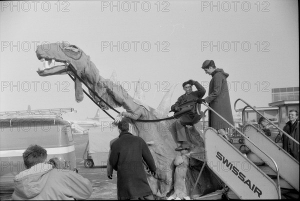 Prof. Trumpy is brought to the aircraft on a dinosaur's back, Zurich-Kloten 1963