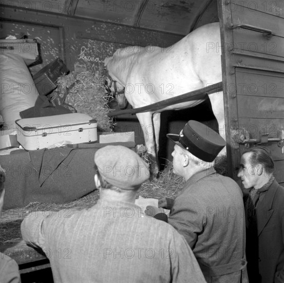 Circus Knie, Customs Check in Schaffhausen 1957