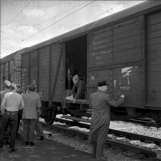 Circus Knie, Customs Check in Schaffhausen 1957