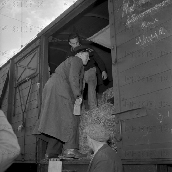 Circus Knie, Customs Check in Schaffhausen 1957