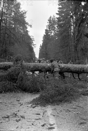 Storm damages in Bulach 1967