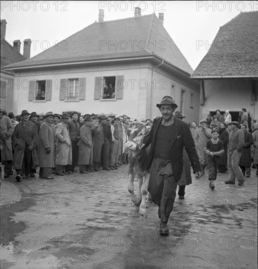 Farmers protest against penalisation of participants to the Milk Strike in the French speaking part of Switzerland 1951