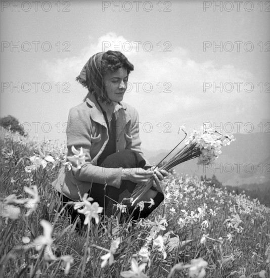 Woman gathering wild narcissus in Vevey, 1942