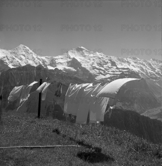 Washing flapping, clothesline, Schynige Platte 1955