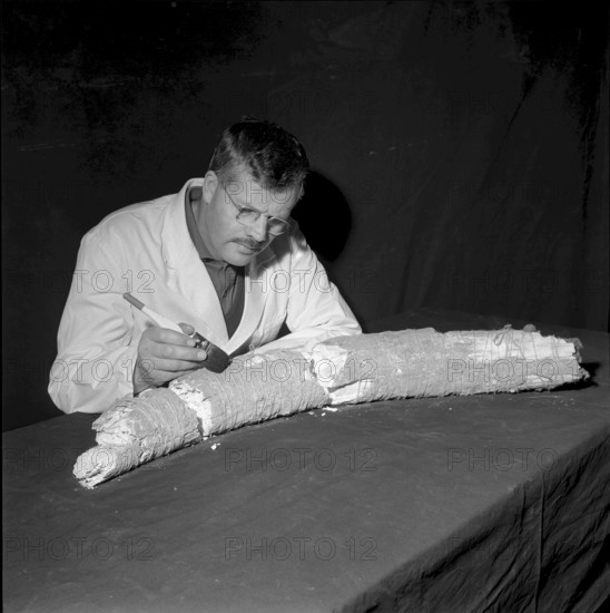 Mammoth tooth discovery in Posieux FR, 1964