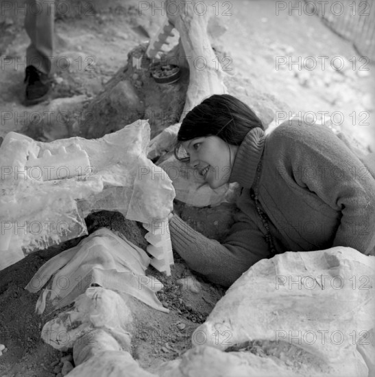 Mammouth skeleton discovery in the Praz-Rodet gravel pit, Le Brassus 1969