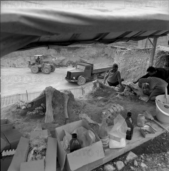 Mammouth skeleton discovery in the Praz-Rodet gravel pit, Le Brassus 1969