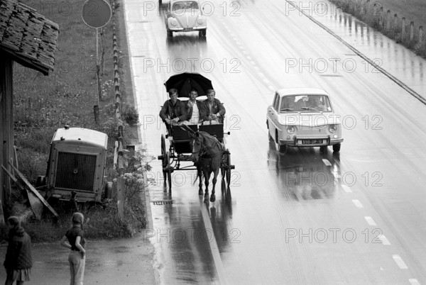 Holiday trip on a horse drawn carriage: 3 young men in the region of Biel, 1970