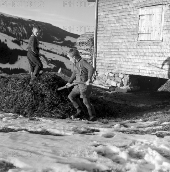 Christmas Eve 1957: Boys on a farm