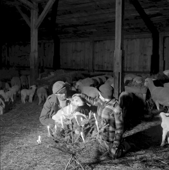 Christmas Eve 1957: shepherd Bartholomeo Baietto, Vionnaz with his son