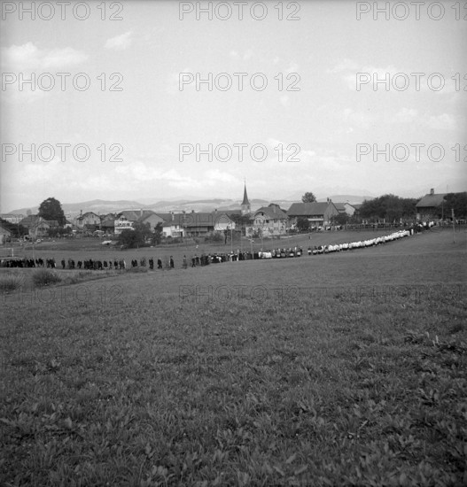 Siviriez FR 1953