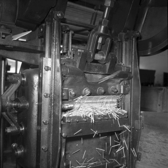 Match production at Terza match factory, Unterterzen, 1952