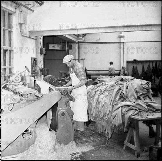 Tannery Olten 1958