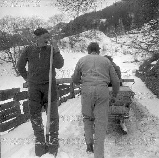 Man and sleigh on his way in the Grisons,  1953