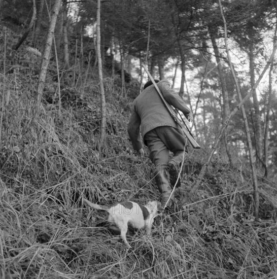 Christmas hunting, Greppen 1955: Hunter with dog