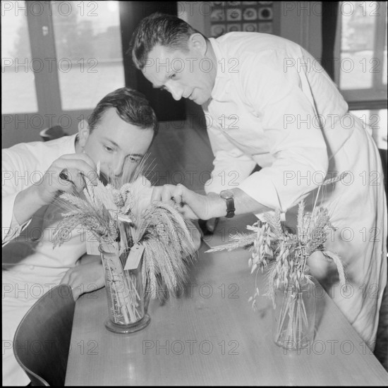Course for making bread at technical college for baker, Lucerne 1958