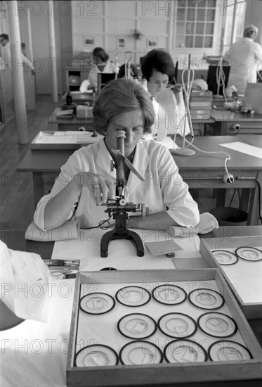 Wild Heerbrugg AG 1967