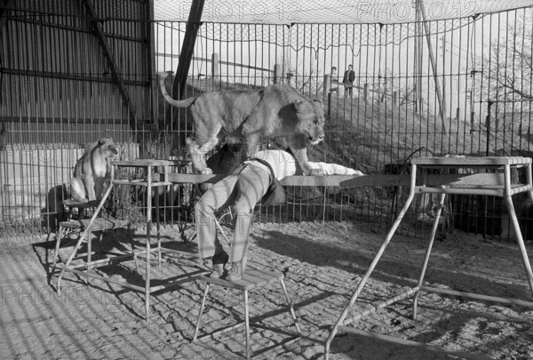Animal tamer Rene Strickler, Romanshorn 1972